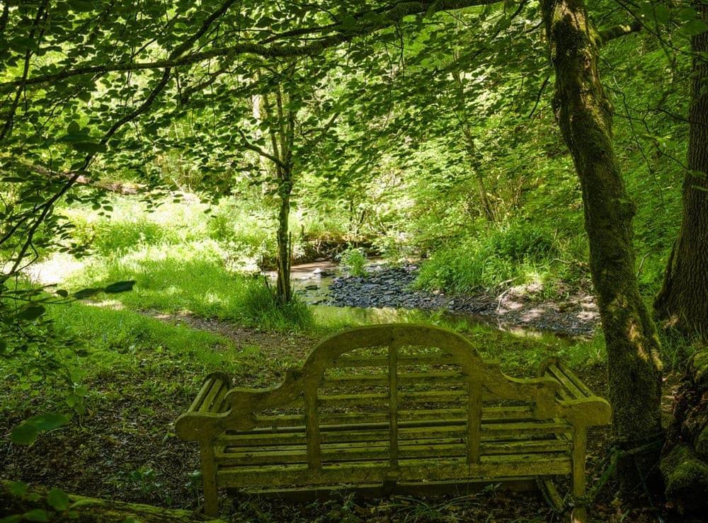 Beautiful outdoor seating area at Ash Mill Cabin in Ashreigney, near Chulmleigh, Devon