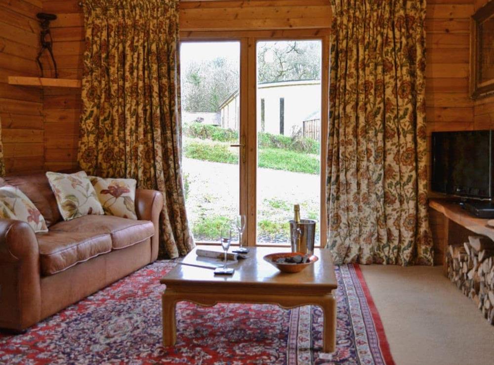 Living room at Ash Mill Cabin in Ashreigney, near Chulmleigh, Devon