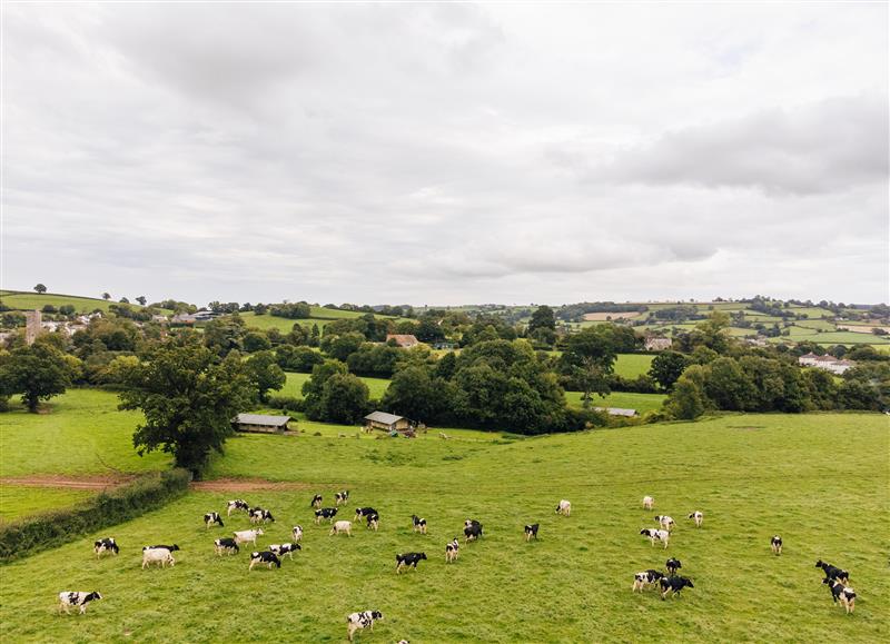 Rural landscape (photo 2) at Ash, Stockland near Dalwood