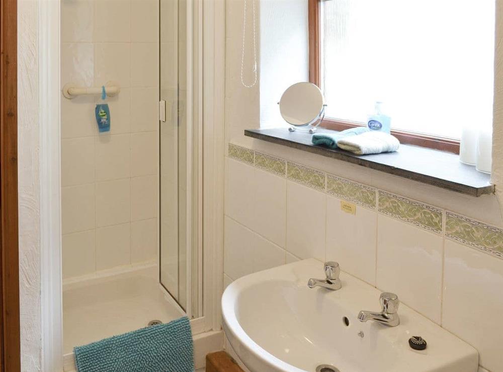 En-suite shower room at Ash Tree Cottage in Four Lanes, near Camborne, Cornwall