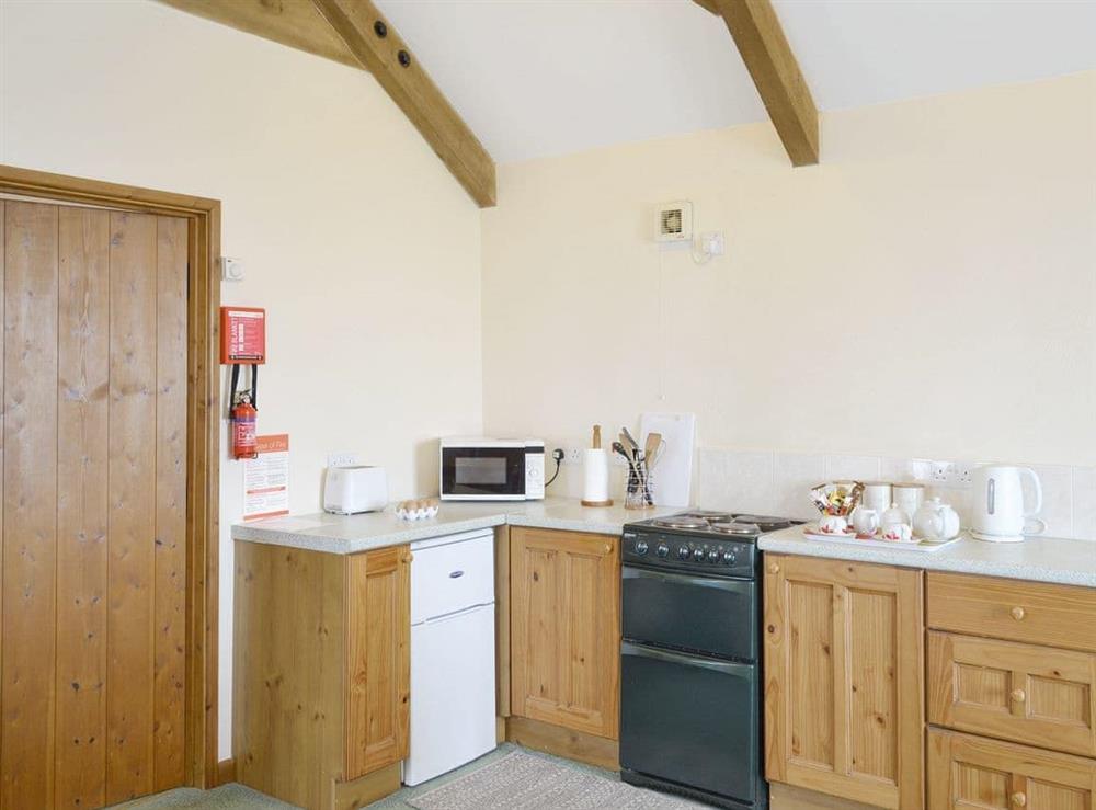 Fully appointed kitchen at Ash Tree Cottage in Four Lanes, near Camborne, Cornwall