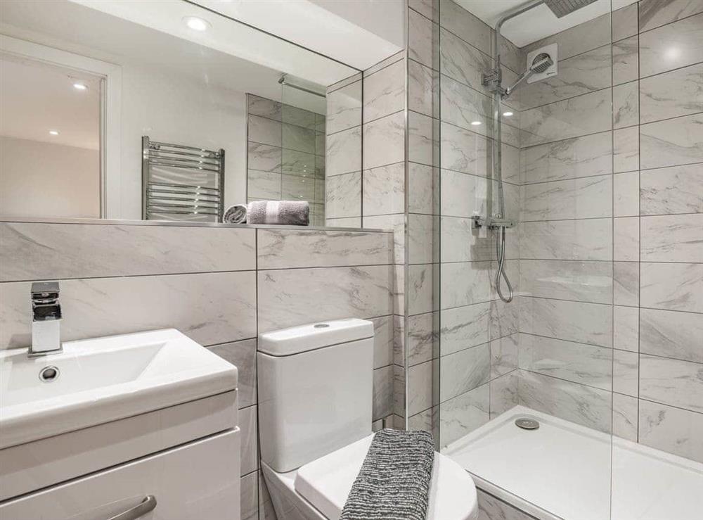 Shower room at Waterside Lodge Fourteen, 
