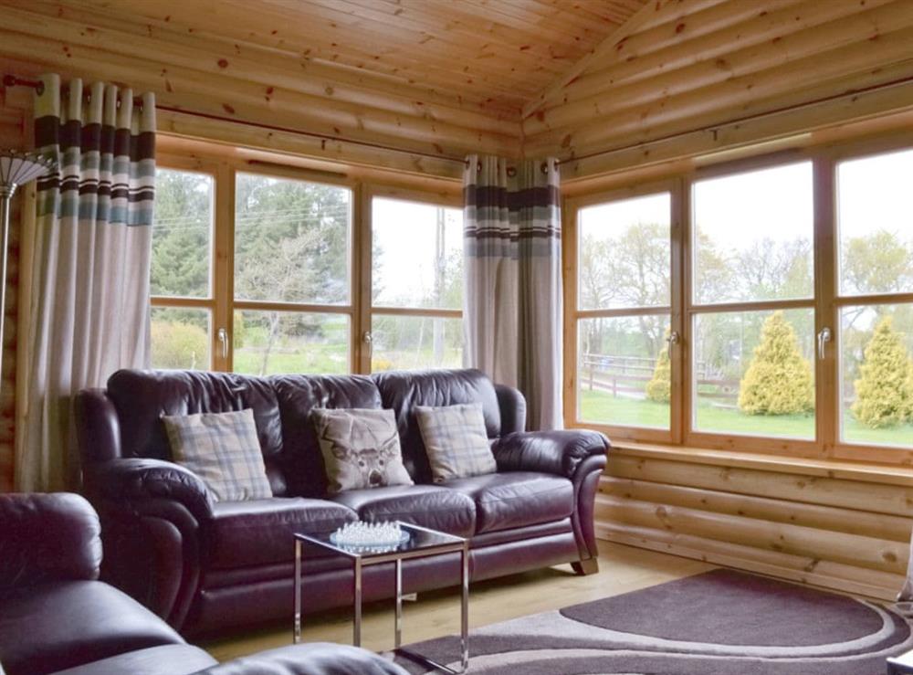 Open plan living/dining room/kitchen (photo 2) at Ashknowe Log Cabin in Perth, Perthshire