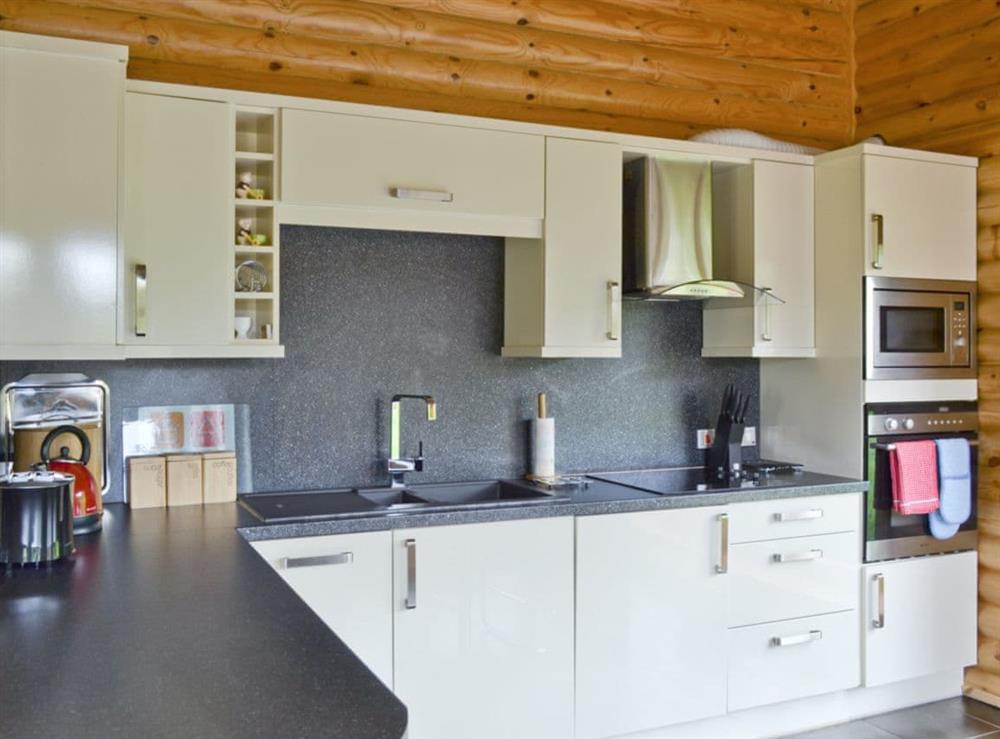 Open plan living/dining room/kitchen (photo 4) at Ashknowe Log Cabin in Perth, Perthshire