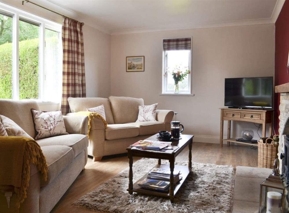 Comfortable lounge with wood burner and 42” Freeview TV at Ashlea in Barnard Castle, County Durham, England