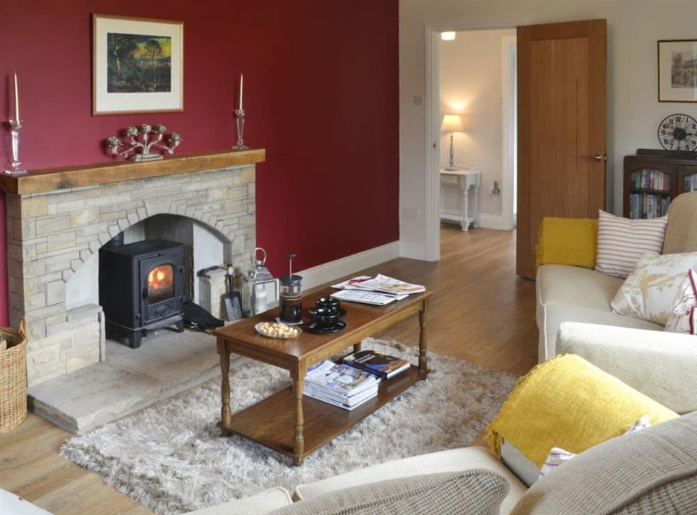 Homely lounge with wood burner at Ashlea in Barnard Castle, County Durham, England