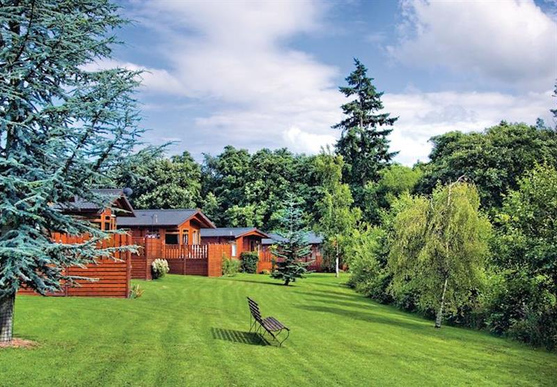 The lodge setting at Ashlea Pools Country Park in Shropshire, Heart of England