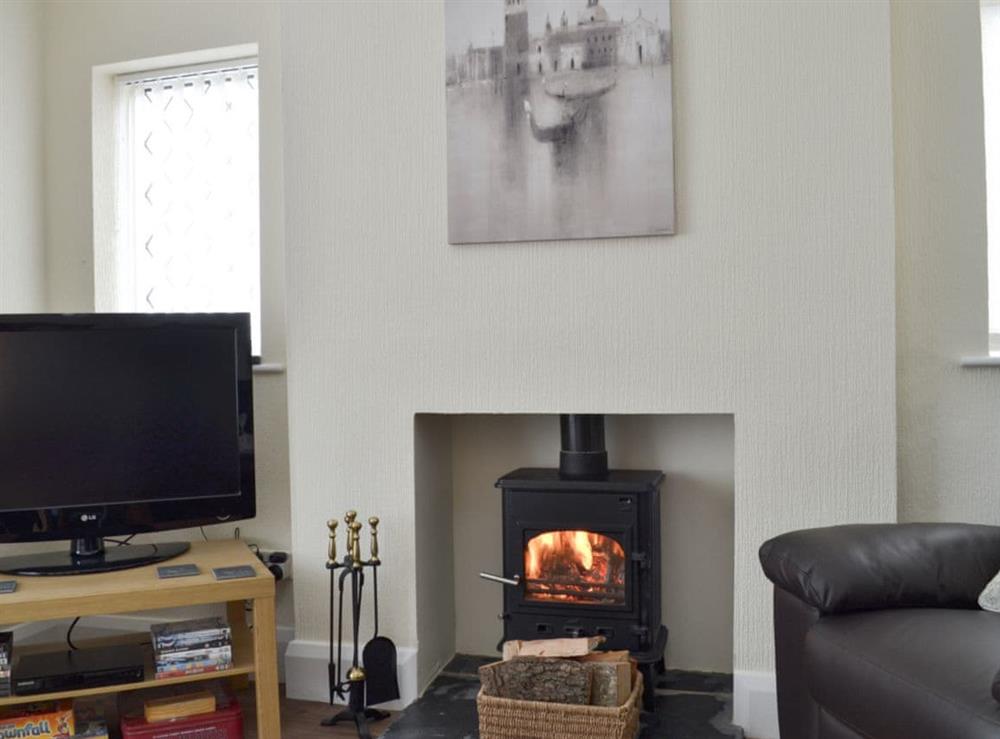 Cosy living room with wood burner at Ashlea in Skegby, near Mansfield, Nottinghamshire