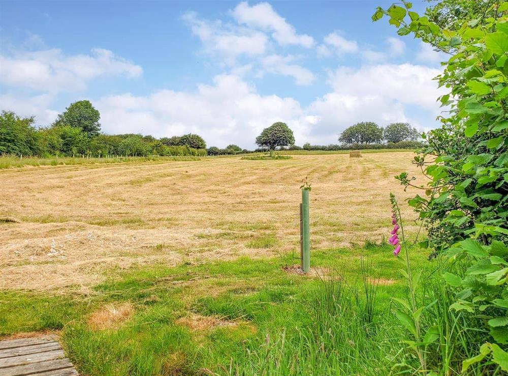 Surrounding area at Ashmere in Callington, Cornwall