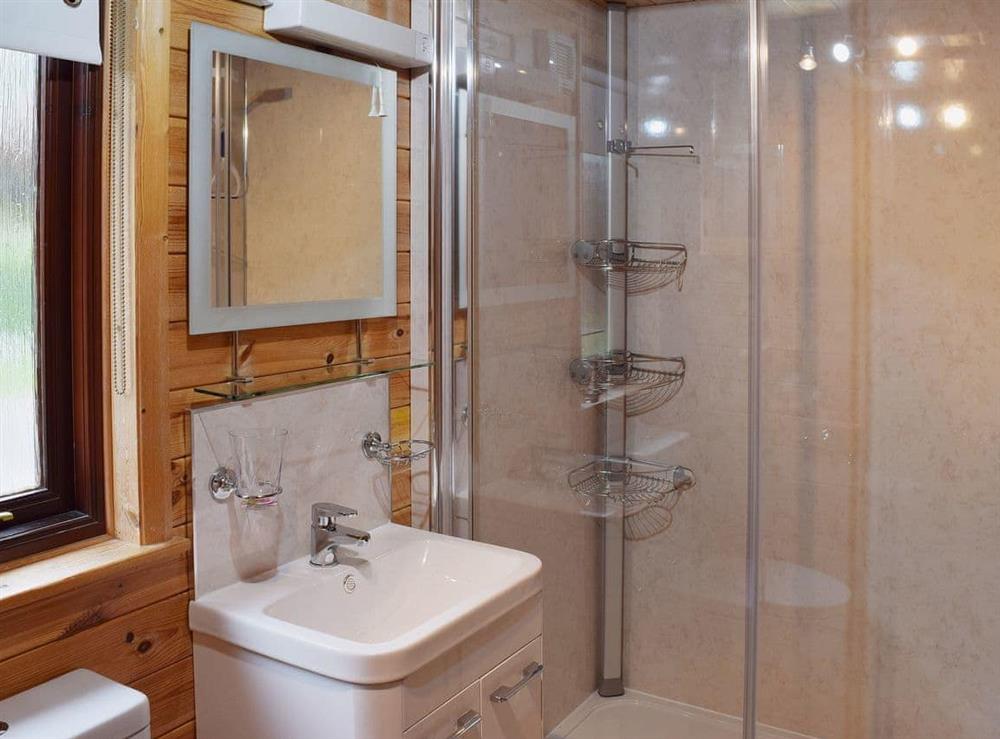 En-suite shower room at Burnside Park, 