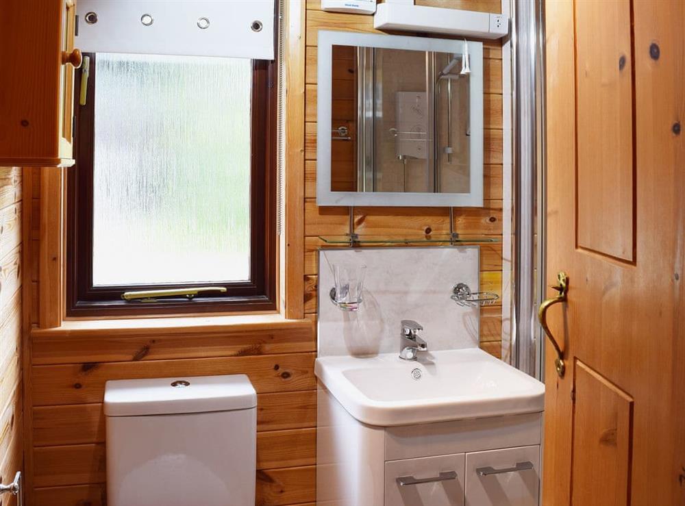 Vanity unit in the en-suite shower room at Burnside Park, 