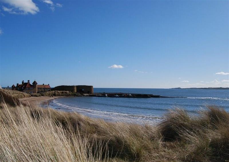 In the area at Ashore, Beadnell