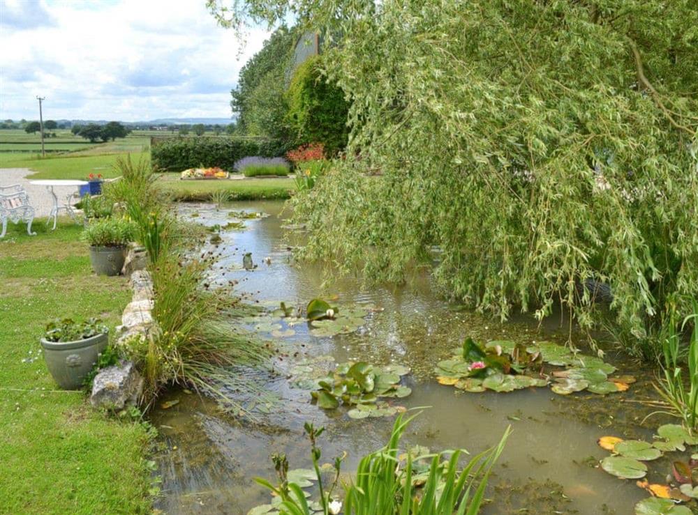 Garden pond at Ashpit Cottage in Little Barugh, near Pickering, N. Yorks., North Yorkshire