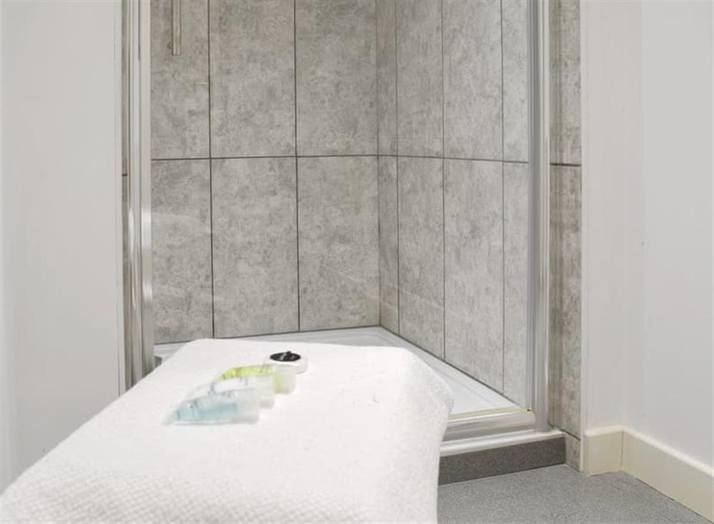 Shower room at Ashridge Apartment in Dagnall, near Berkhamstead, Hertfordshire