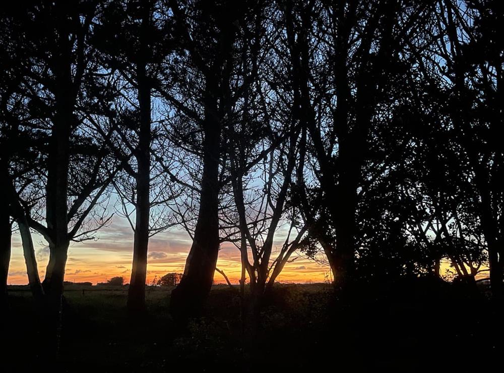 View at Atlantic Bays 201 in Padstow, Cornwall