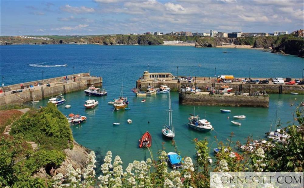 Newquay harbour at Atlantic View in Mawgan Porth