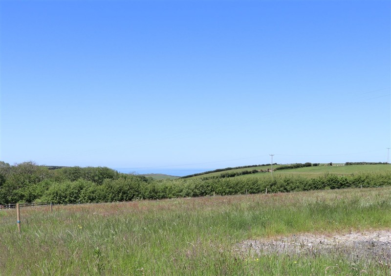 This is the garden at Atlantic View, Poundstock near Bude