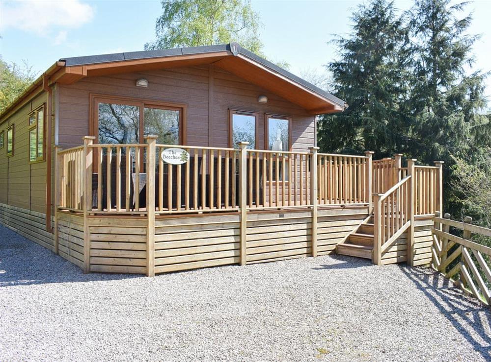 Attractive holiday home the decked terrace at The Beeches, 