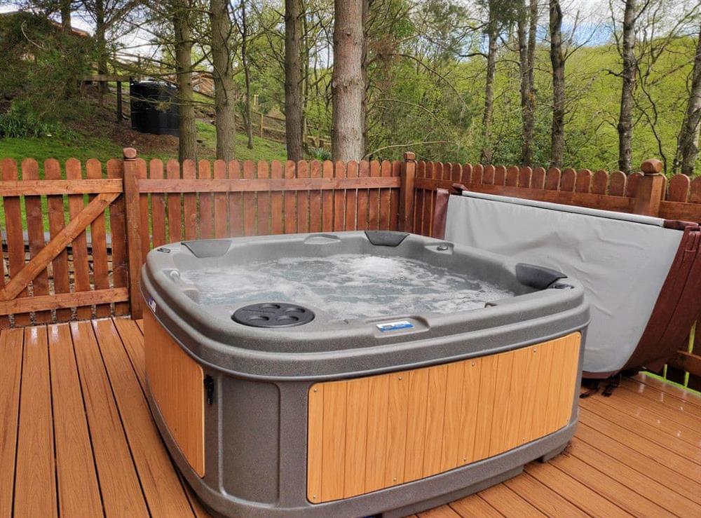 Hot tub at The Beeches, 