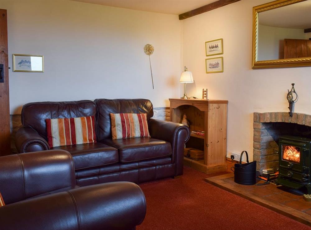 Cosy living room with wood burner at Augustus Cottage in Llangadog, near Llandeilo, Carmarthenshire, Dyfed