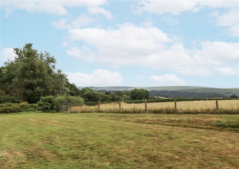 The garden at Aunty Junes Cottage, Whiddon Down