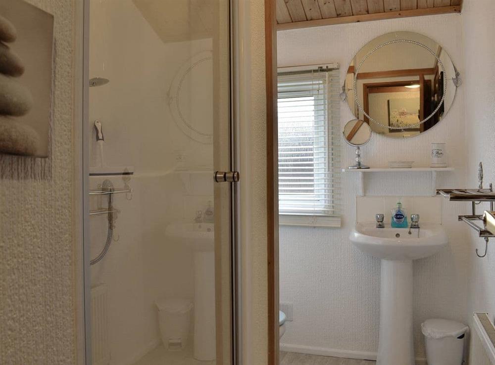 Shower room at Avalon lodge in Killigarth, near Polperro, Cornwall