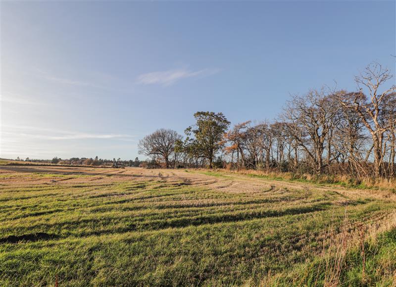 Rural landscape