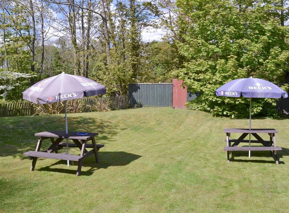 Well-maintained lawned garden area at Avon Mist, 