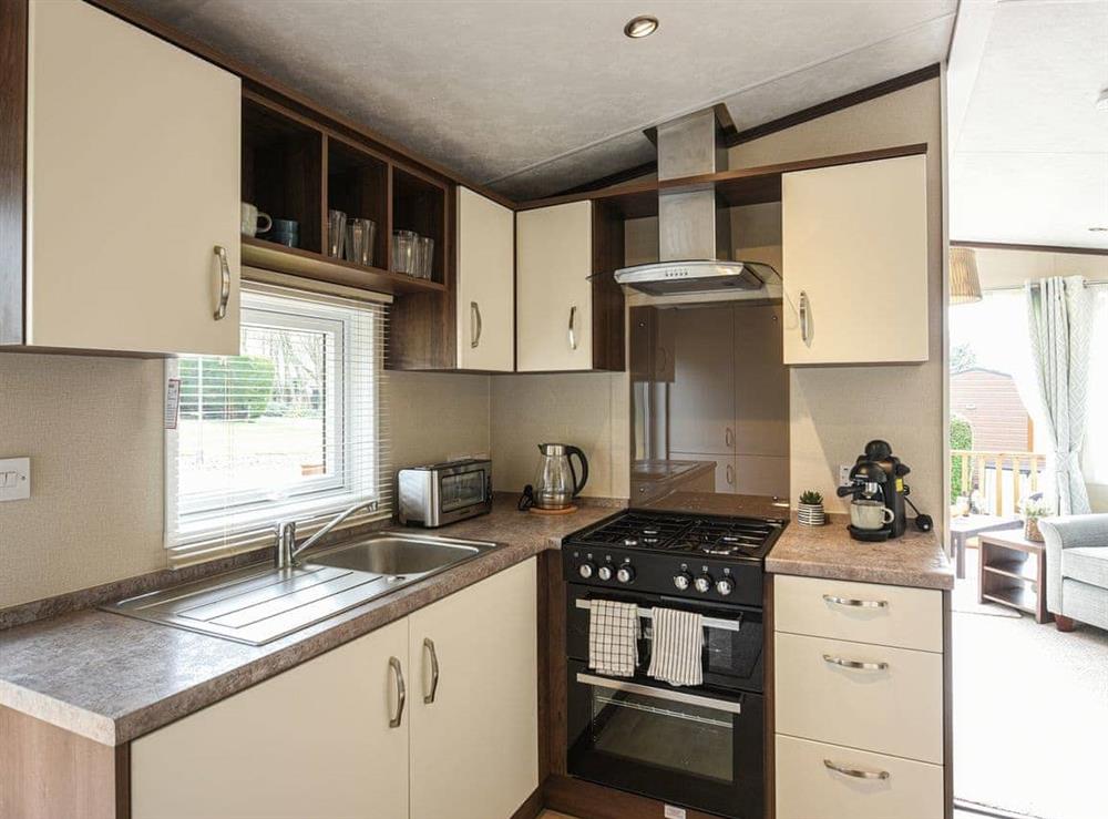 Kitchen area at Avon Lodge in Snead, near Montgomery, Powys
