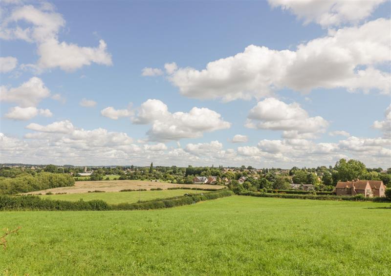 Rural landscape