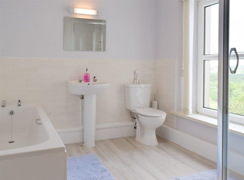 Large family bathroom with bath and separate shower cubicle at Awelfryn in Llandybie, near Llandeilo, Dyfed