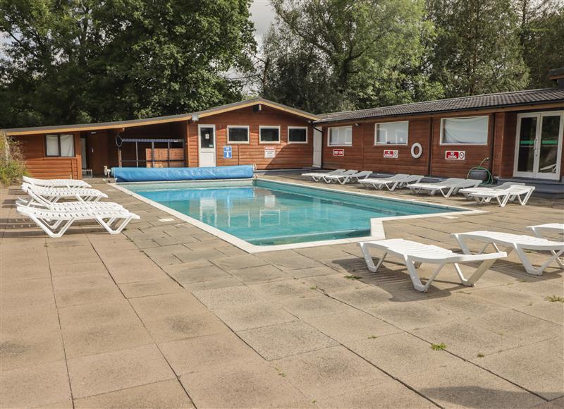 Spend some time in the pool at Awelon, Cenarth