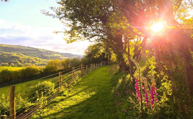 Rural landscape