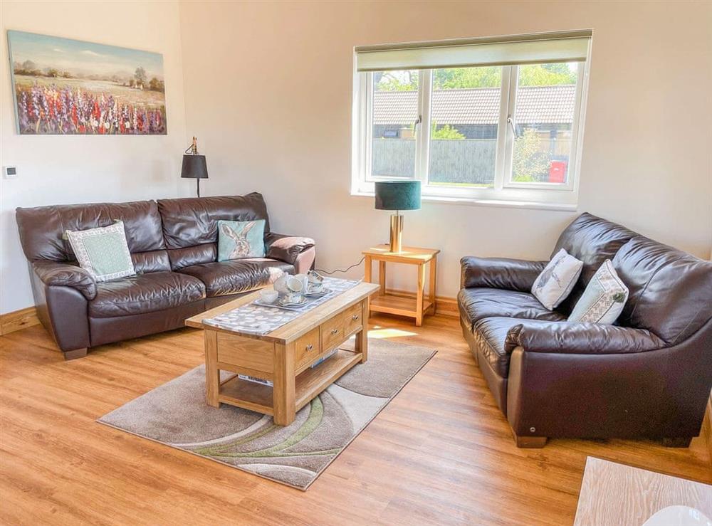 Living area at Aylesbury Lodge in Halstead, Essex