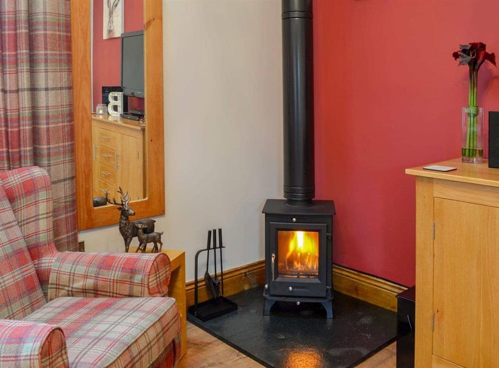 Cosy wood burner at Aysgarth Lodge in Seamer, near Scarborough, North Yorkshire