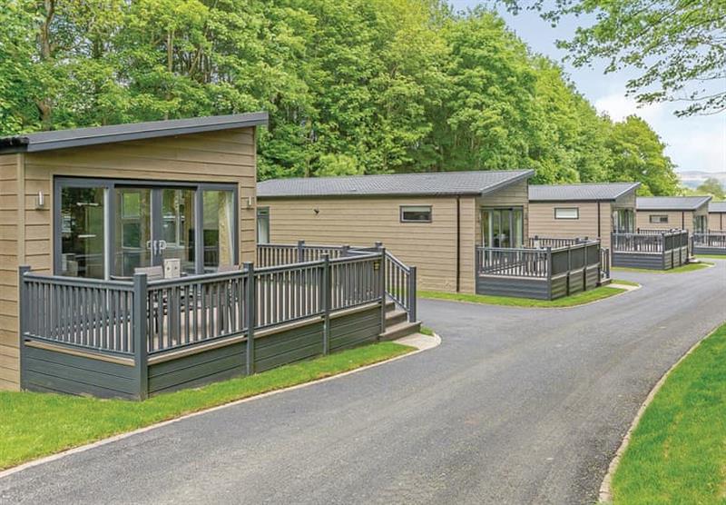 The setting of the  Contemporary 6 at Aysgarth Lodges in Aysgarth, Leyburn