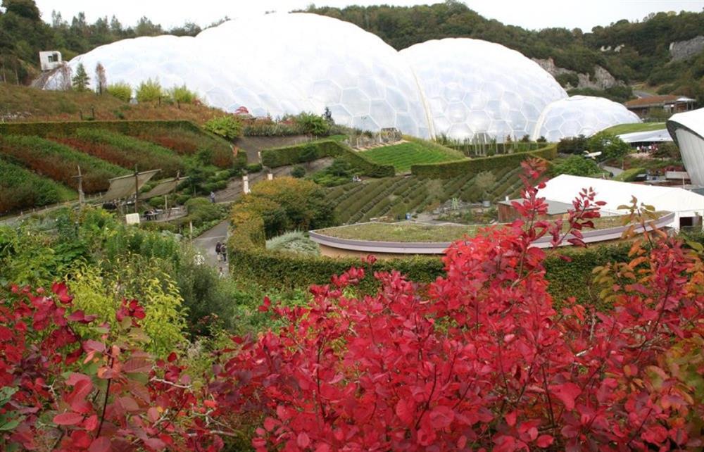 Eden Project at Aztec in Bodmin