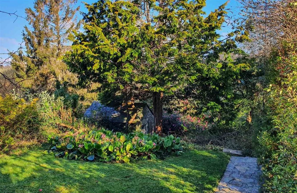 Garden and grounds (photo 2) at Babblebrook Cottage in Gorran, Cornwall