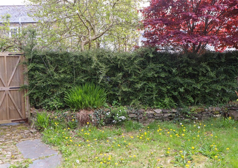 Outside at Back Cottage, Walkhampton near Yelverton