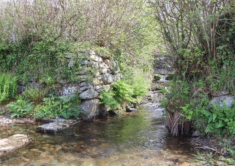 The area around Back Cottage at Back Cottage, Walkhampton near Yelverton