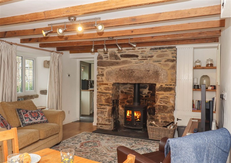 The living room at Back Cottage, Walkhampton near Yelverton