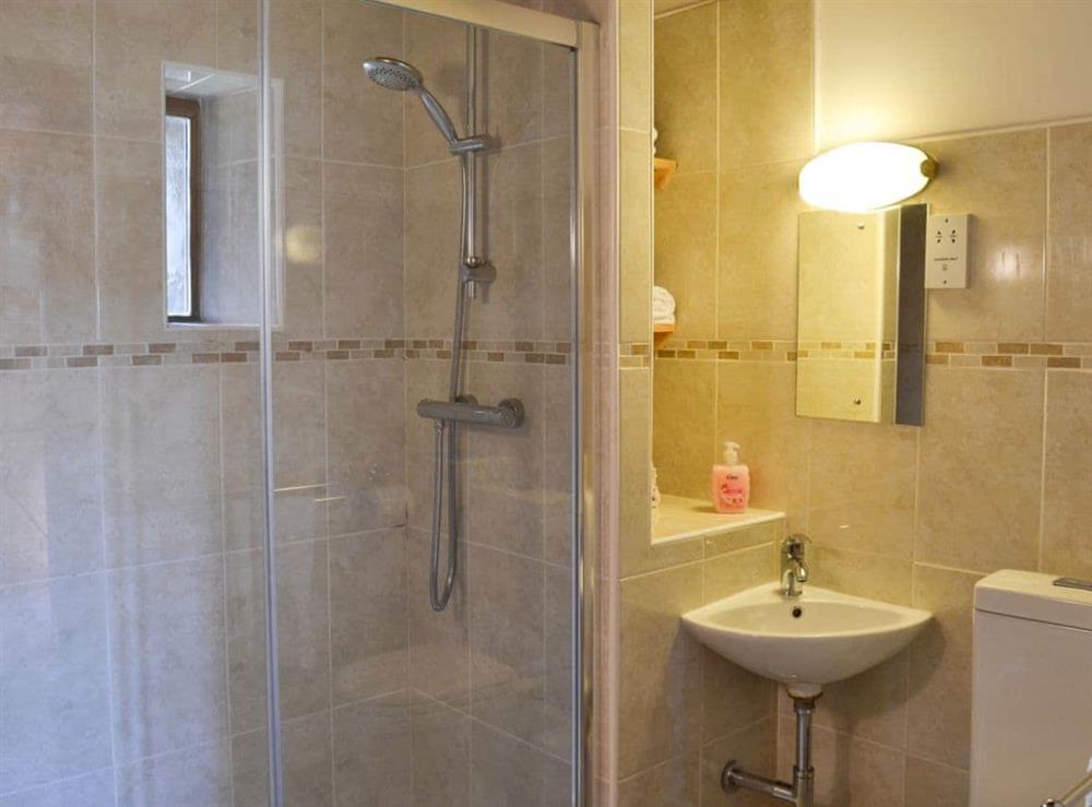 Shower room with heated towel rail at Badger Cottage in Gulworthy, near Tavistock, Devon