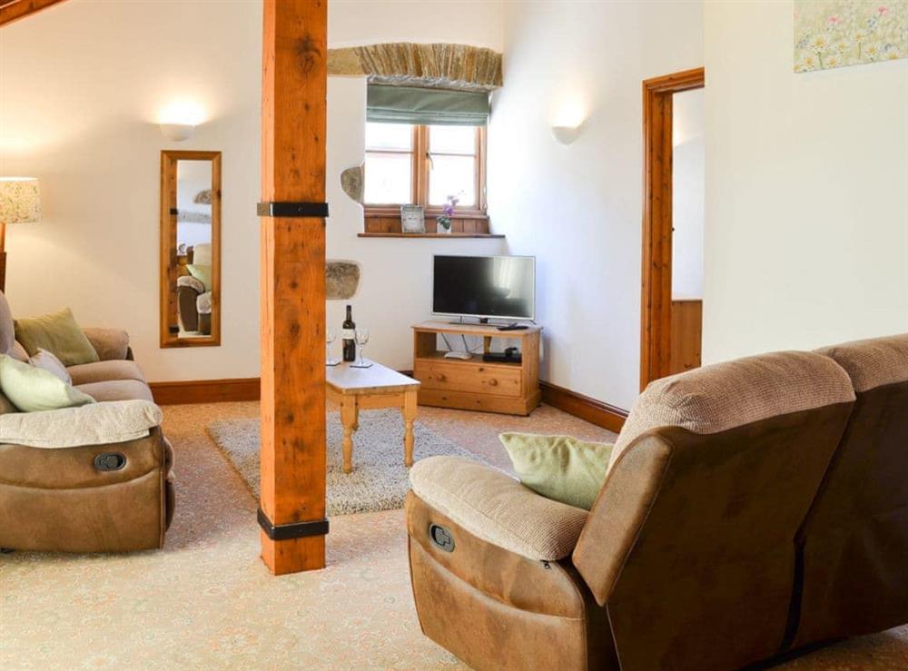 Warm and welcoming living area at Badger Cottage in Gulworthy, near Tavistock, Devon