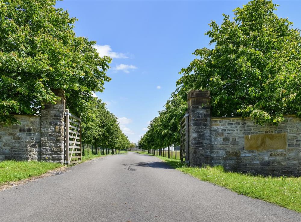 Driveway