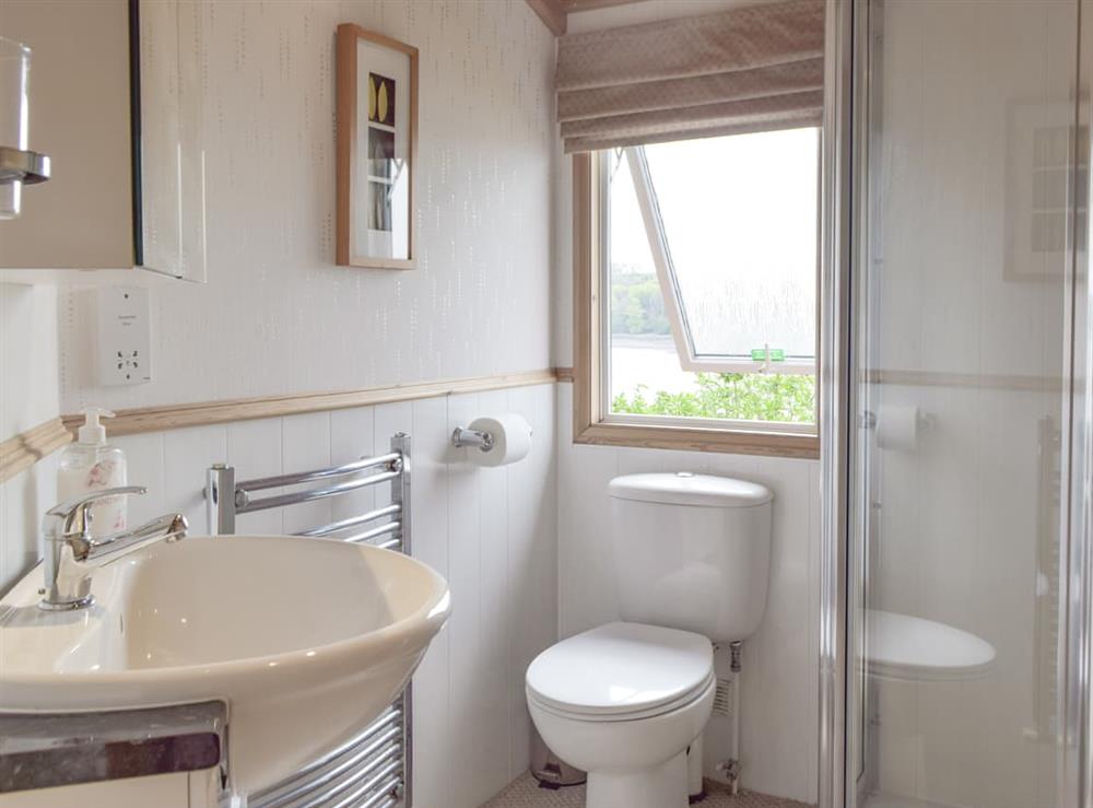 Bathroom (photo 2) at Badger Lodge in Burton, Dyfed