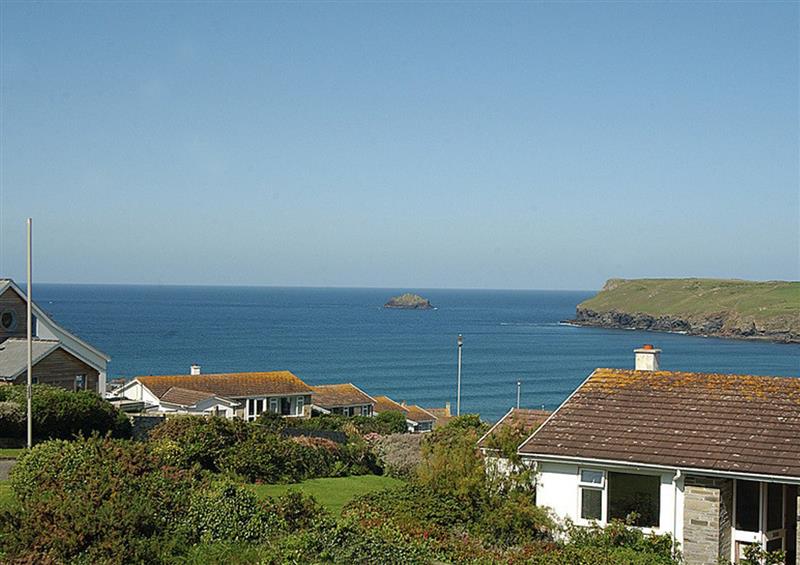 The setting at Badgers Cliff, Polzeath