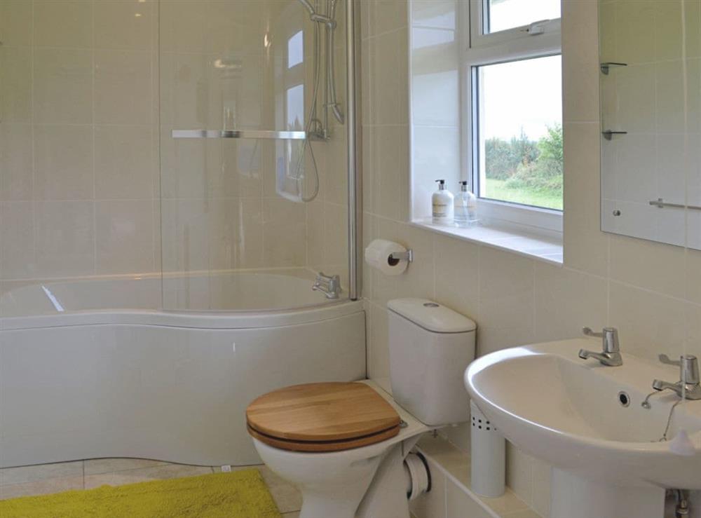 Bathroom at Badgers Drift in East Taphouse, near Liskeard, Cornwall