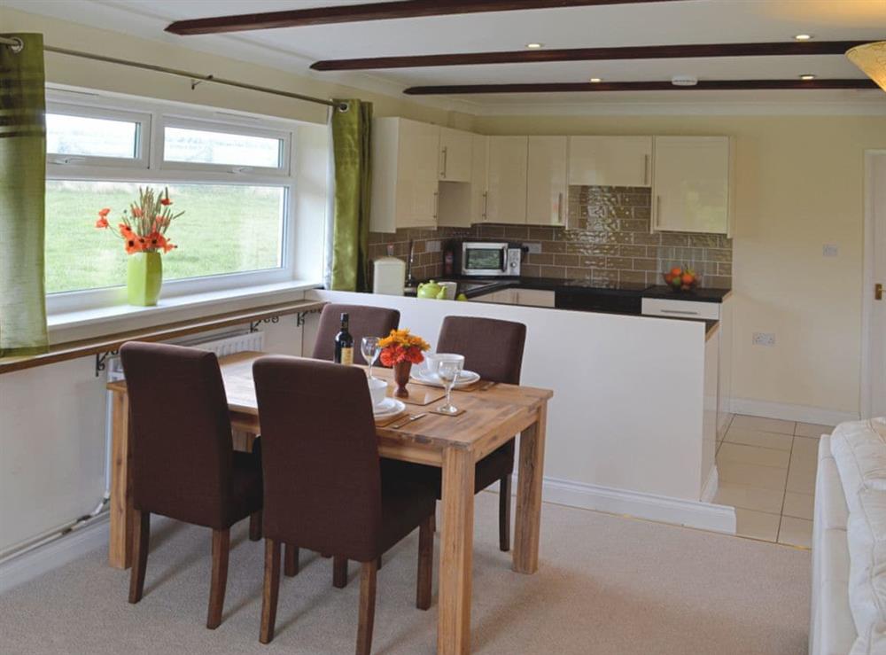 Open plan living/dining room/kitchen (photo 5) at Badgers Drift in East Taphouse, near Liskeard, Cornwall