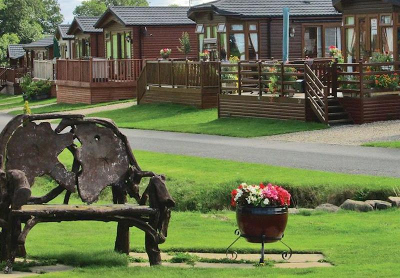 The park setting (photo number 2) at Badgers Retreat Holiday Park in Tunstall, Richmond