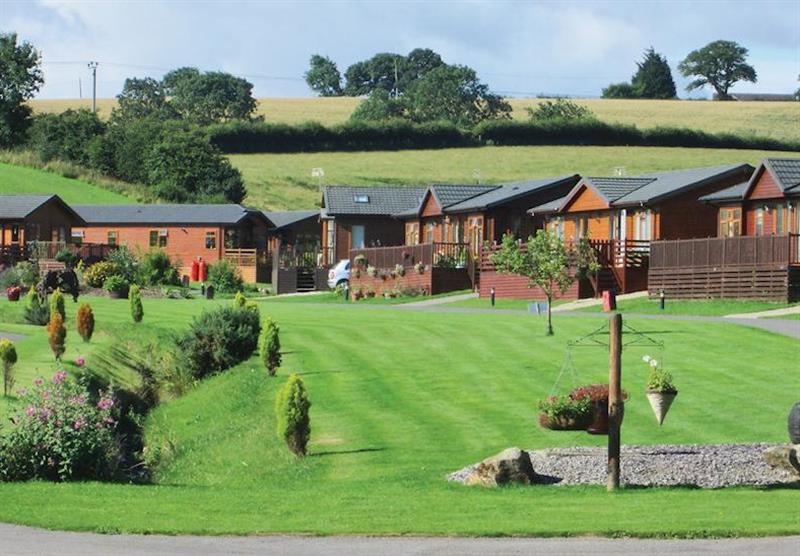 The park setting at Badgers Retreat Holiday Park in , Yorkshire